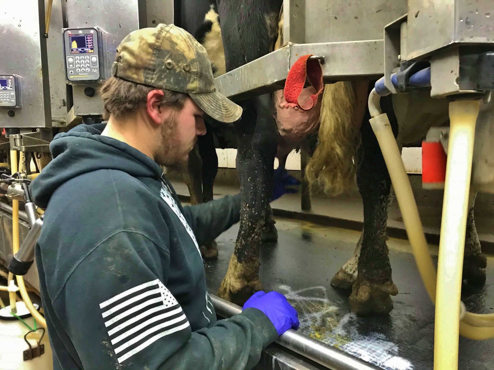 Next Generation of Dairy